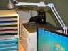 dachkatzen-4